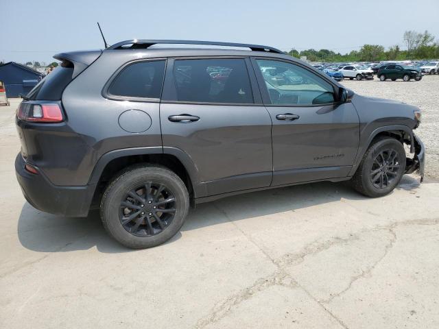 Vin: 1c4pjmmb2pd111134, lot: 59083165, jeep cherokee a altitude lux 20233