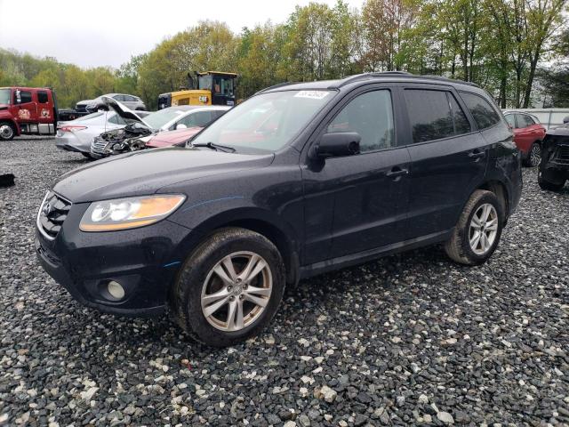 Vin: 5nmshdag0ah346085, lot: 55742645, hyundai santa fe se 2010 img_1