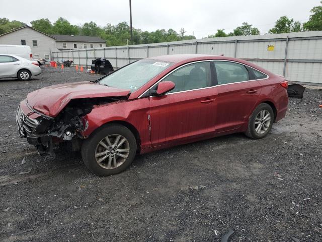 Vin: 5npe24af2gh328169, lot: 55558405, hyundai sonata se 2016 img_1