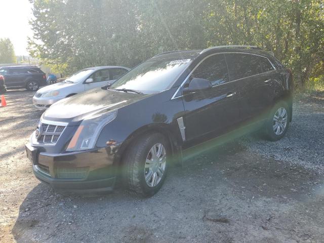 Vin: 3gyfnde38cs502641, lot: 55415295, cadillac srx luxury collection 2012 img_1