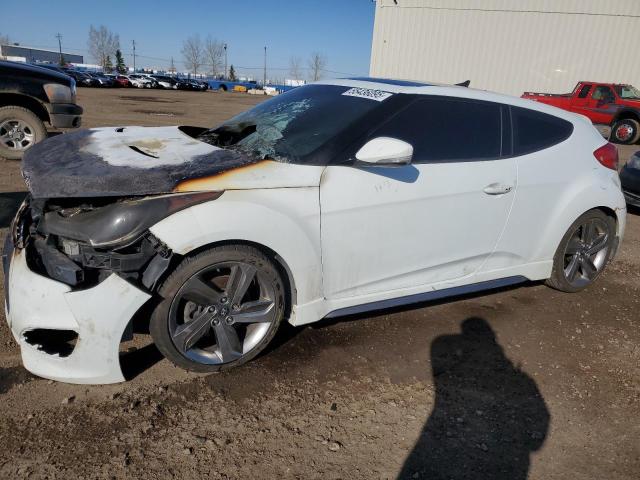 Vin: kmhtc6ae0du087183, lot: 55436095, hyundai veloster turbo 2013 img_1