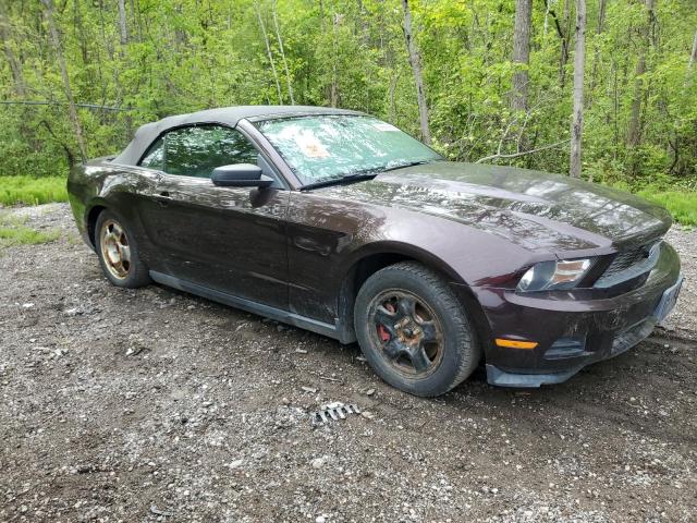 Vin: 1zvbp8em8b5129301, lot: 56668885, ford all models 20114