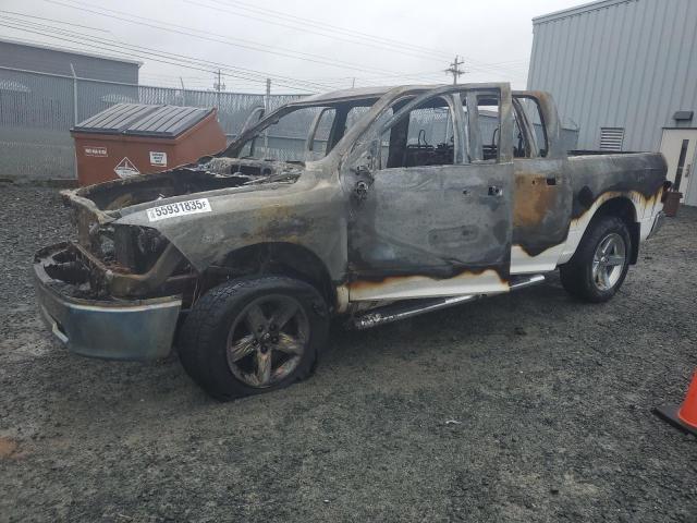 Vin: 1d7rv1gt5bs555750, lot: 55931835, dodge all models 2011 img_1