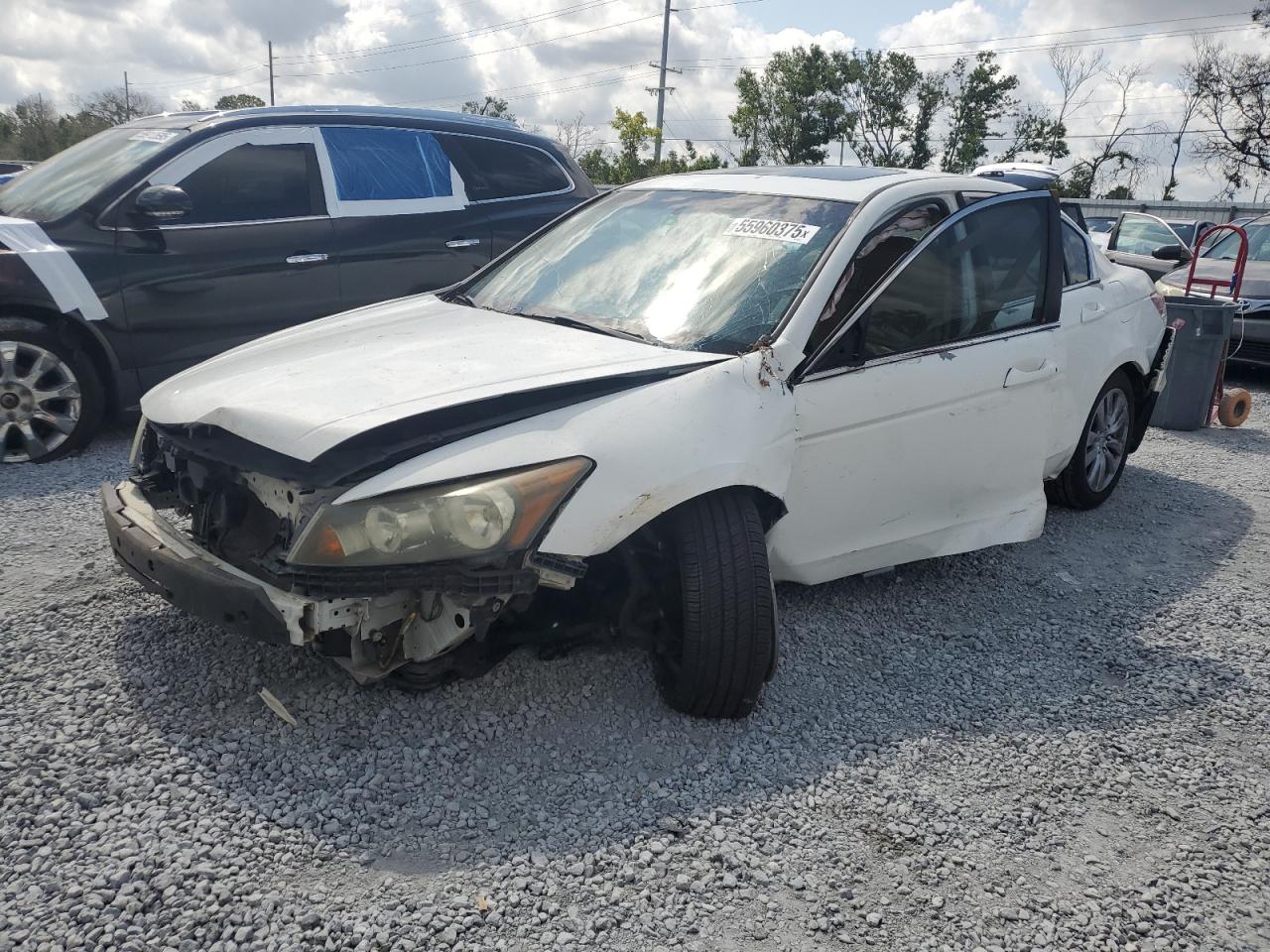 HONDA ACCORD EXL