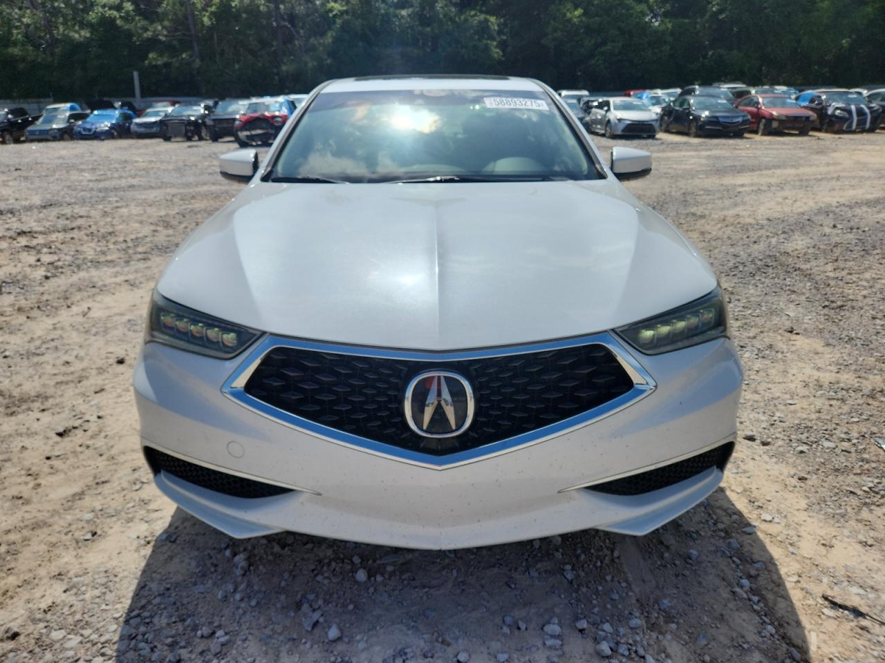 ACURA TLX