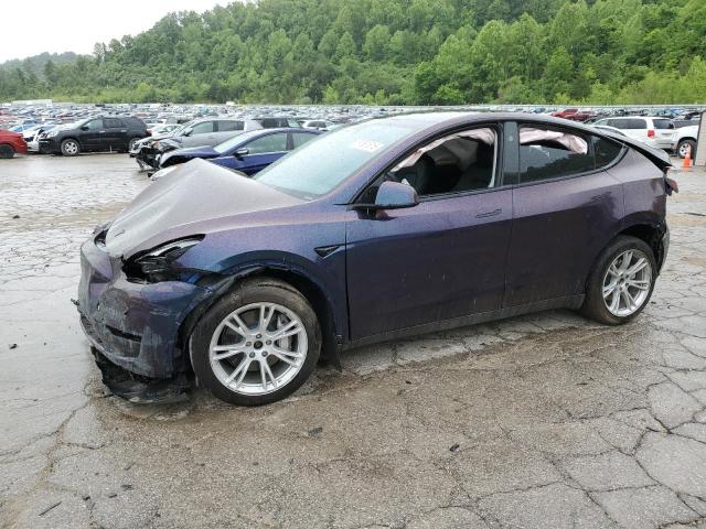 Vin: 7saygdee1pf830060, lot: 57661615, tesla model y 2023 img_1