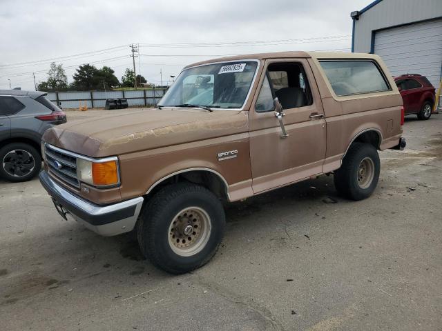 Vin: 1fmeu15n6kla87551, lot: 56662825, ford bronco u100 1989 img_1