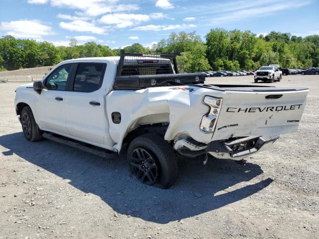 Vin: 1gcpdbek7rz179073, lot: 56887125, chevrolet all models k1500 custom 20242