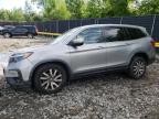 2019 HONDA PILOT EXL - 5FNYF5H51KB041921