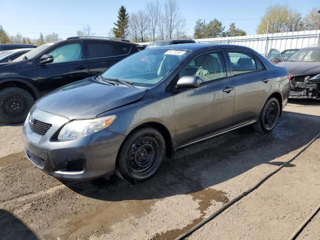 Vin: 2t1bu4ee9ac329599, lot: 56170595, toyota corolla base 2010 img_1