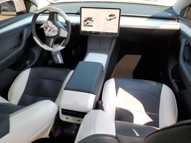 2023 TESLA MODEL Y - 7SAYGDEE1PA125692