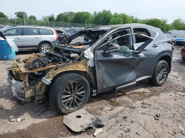 2024 LEXUS NX 350 PRE 2T2GGCEZ9RC042846