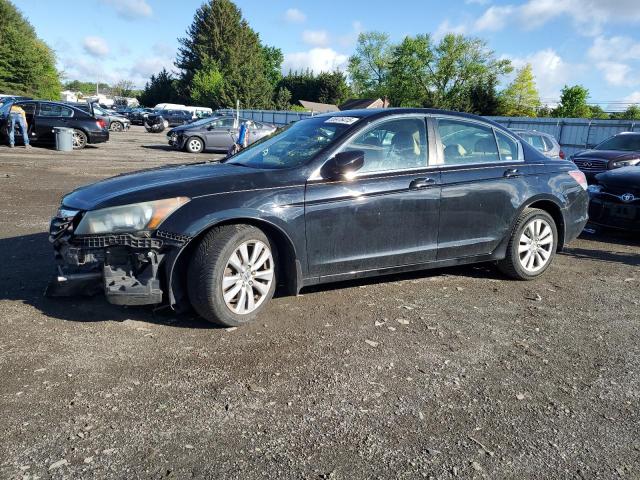 Vin: 1hgcp2f85ba004383, lot: 55976415, honda accord exl 2011 img_1