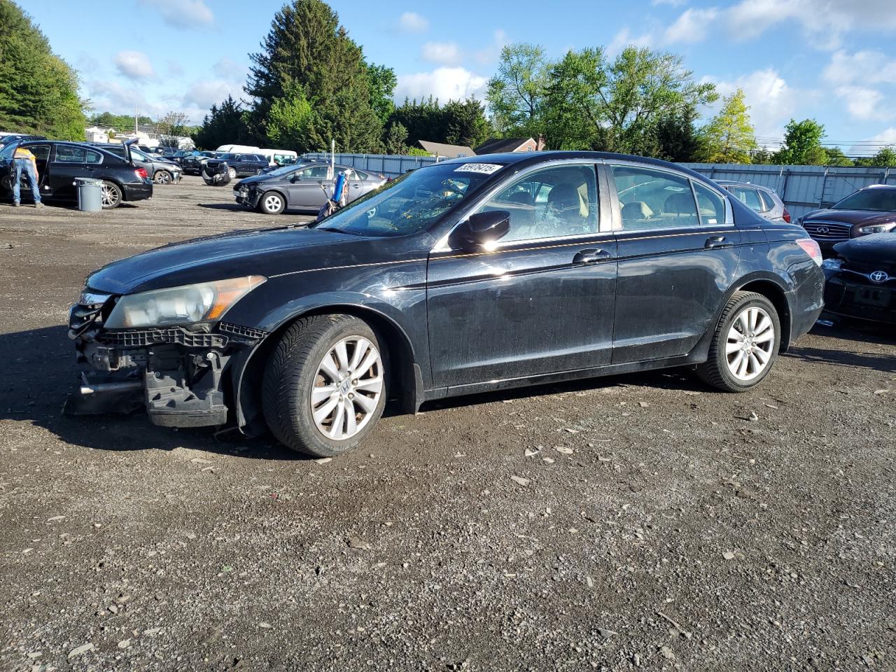 HONDA ACCORD EXL
