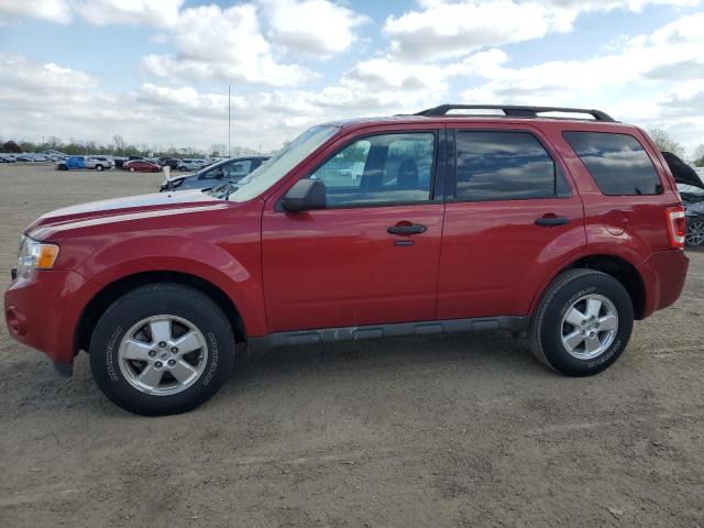 Vin: 1fmcu0d76bkc46014, lot: 56313775, ford escape xlt 2011 img_1