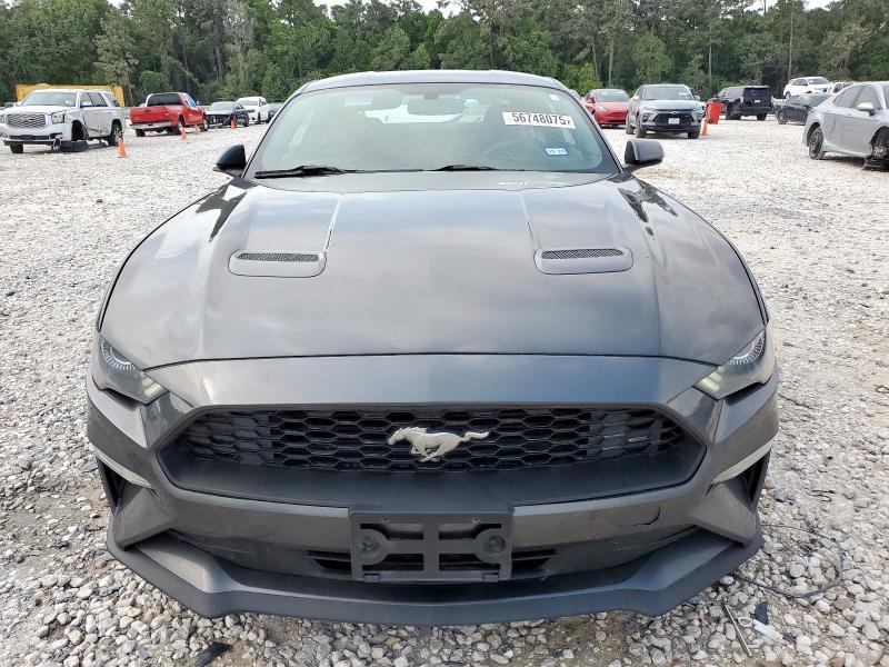 2019 FORD MUSTANG - 1FA6P8TH6K5134061
