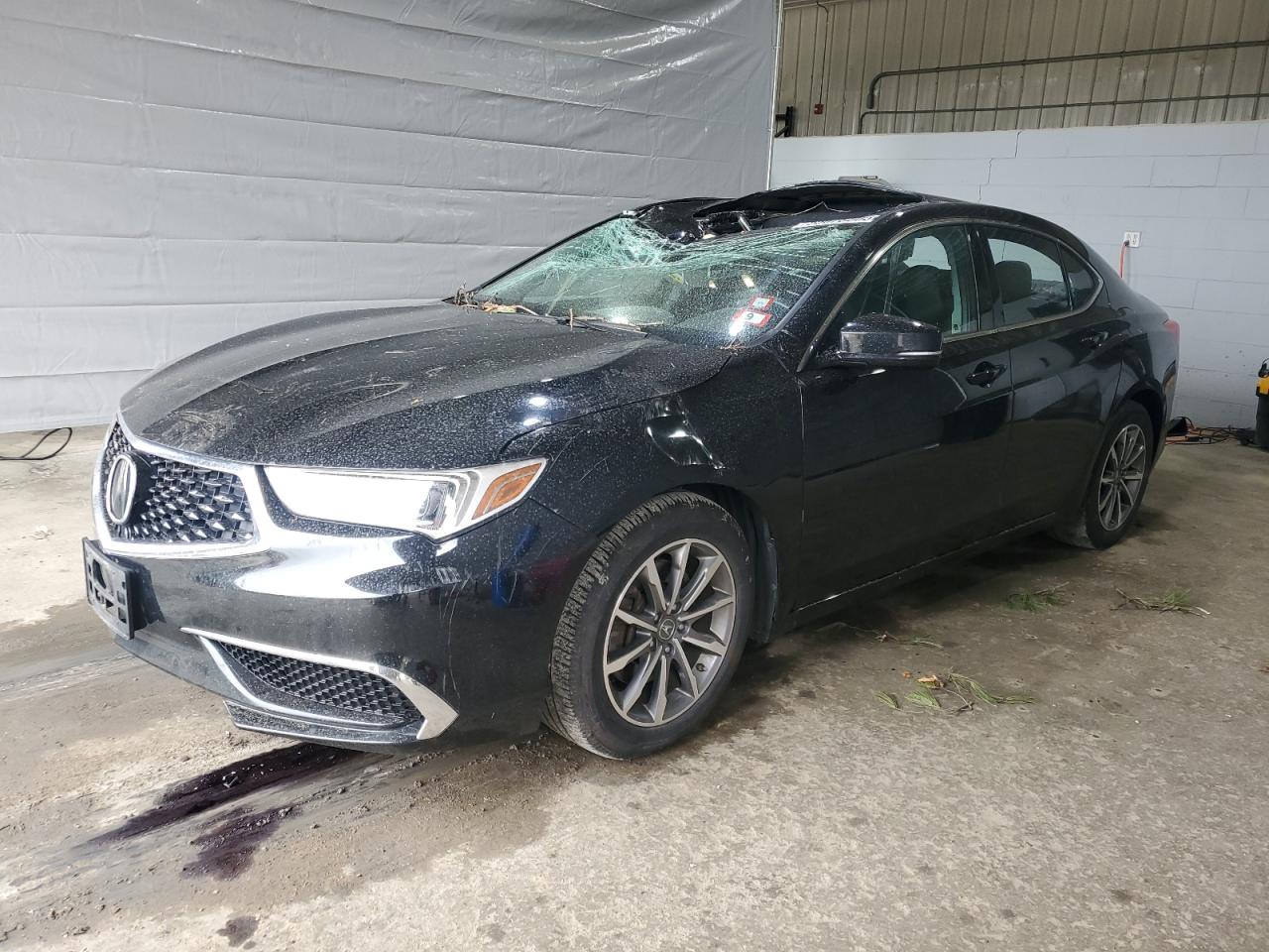 ACURA TLX
