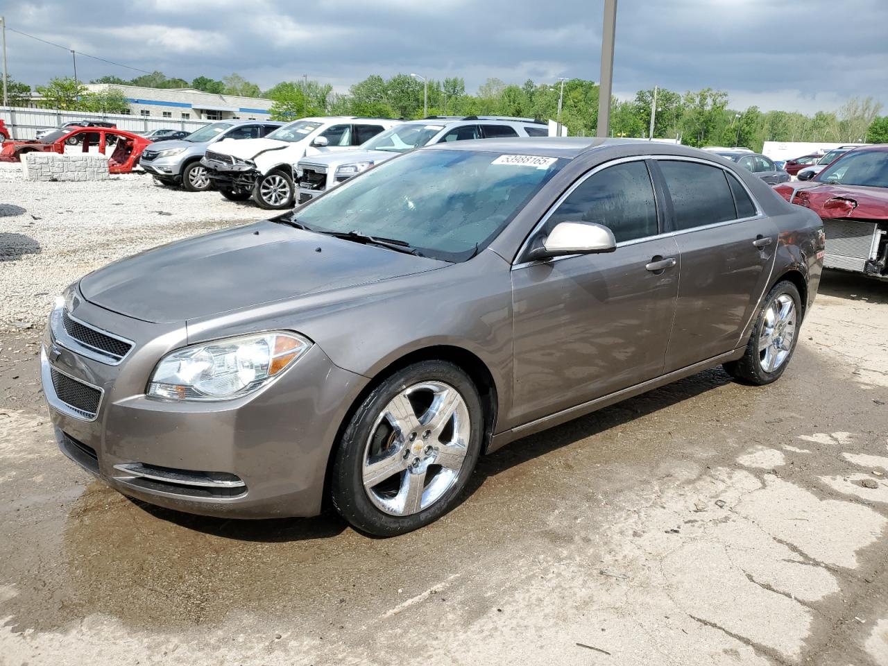 CHEVROLET MALIBU 2LT