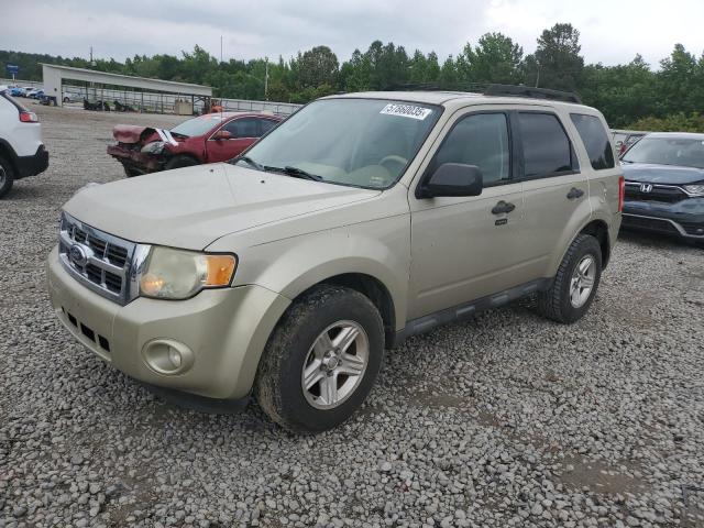 Vin: 1fmcu0d79bkc63079, lot: 57860035, ford escape xlt 2011 img_1
