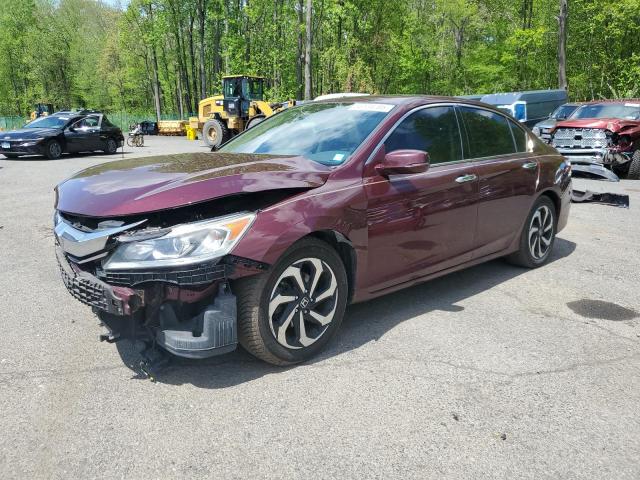 HONDA ACCORD EXL