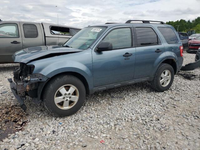 Vin: 1fmcu9dg4akd26186, lot: 58501975, ford escape xlt 2010 img_1