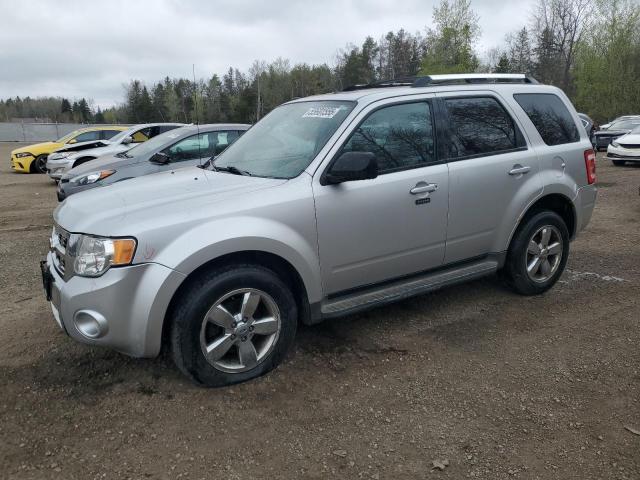 Vin: 1fmcu9eg0akc86025, lot: 55601555, ford escape limited 2010 img_1