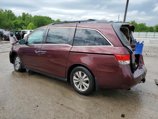 Vin: 5fnrl5h67eb089000, lot: 56116905, honda all models exl 20142