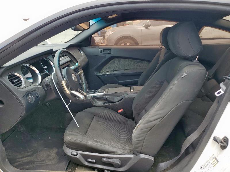 2013 FORD MUSTANG - 1ZVBP8AM1D5279002