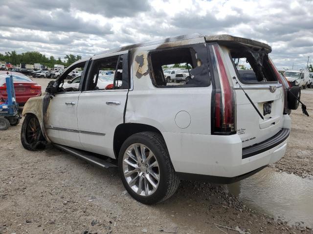 2017 CADILLAC ESCALADE P - 1GYS4CKJ0HR366238