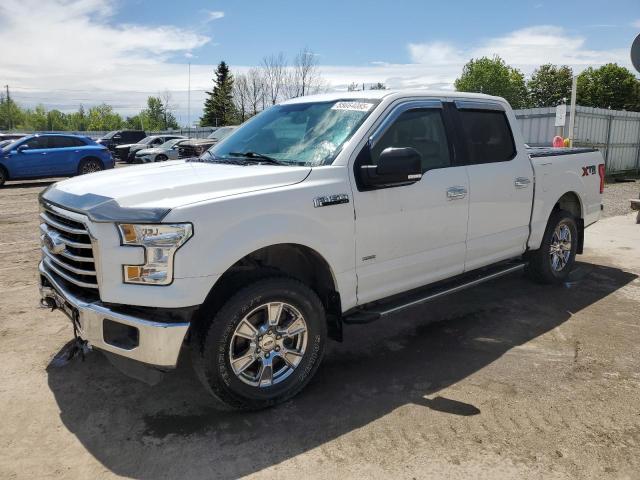 Vin: 1ftew1eg8ffc54559, lot: 55664085, ford f-150 supercrew 2015 img_1