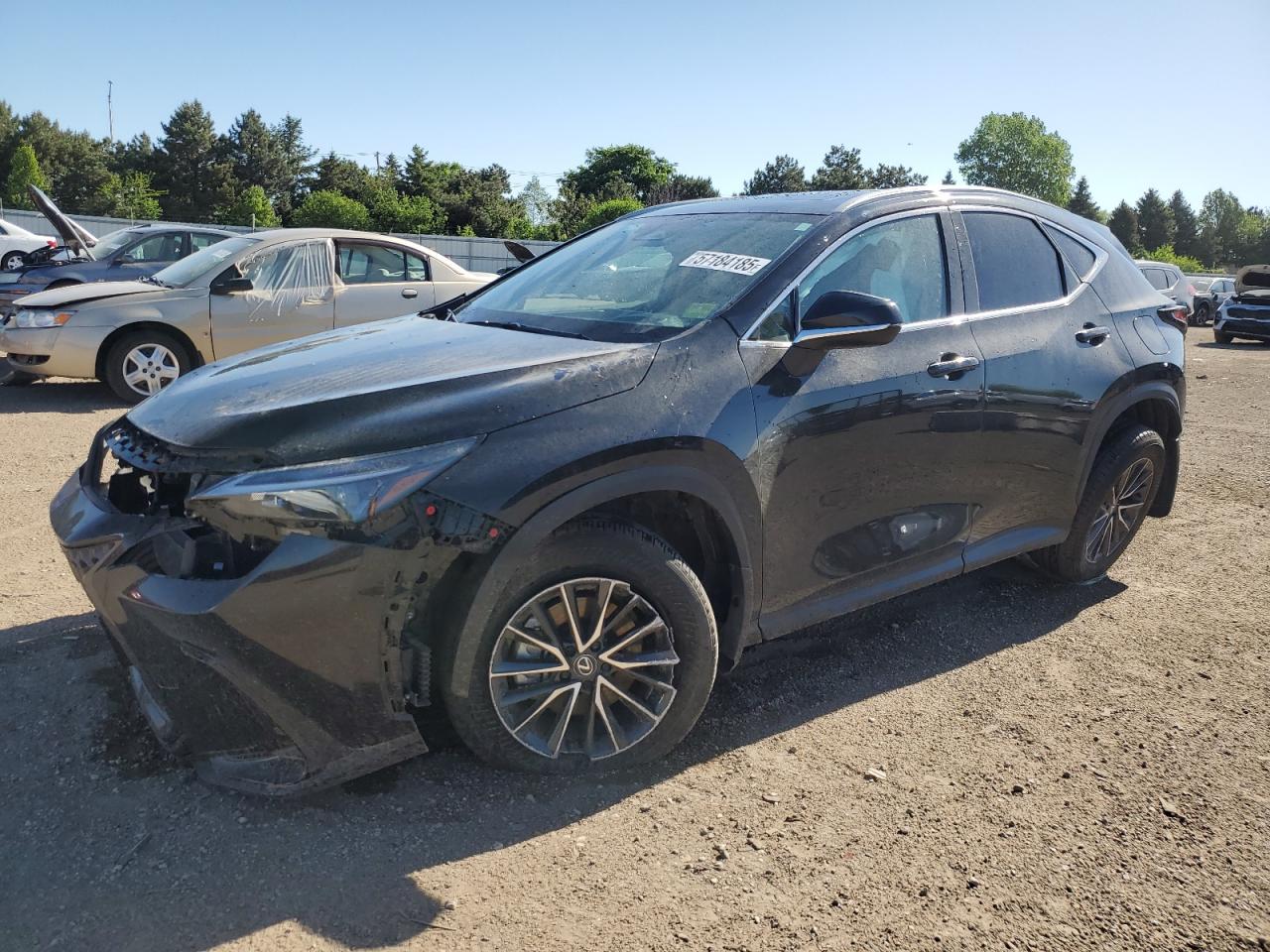 LEXUS NX 350H BASE