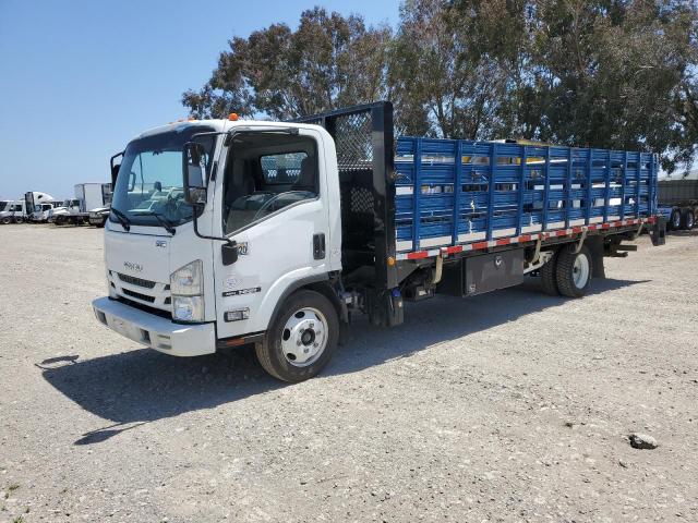 ISUZU NRR 2017 white tilt cab diesel JALE5W163H7300016 photo #1