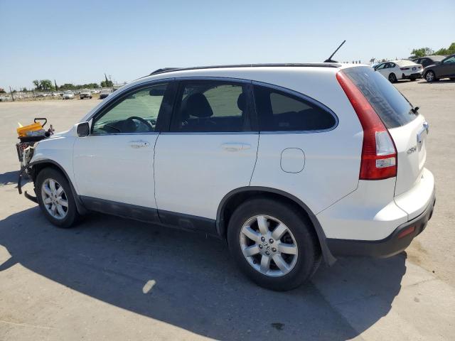 HONDA CR-V EXL 2009 white 4dr spor gas 5J6RE48769L028585 photo #3