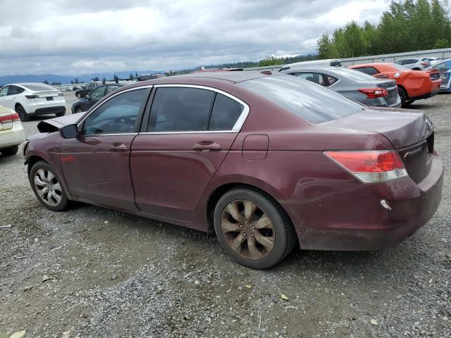 HONDA ACCORD EXL 2010 burgundy  gas 1HGCP2F89AA111029 photo #3