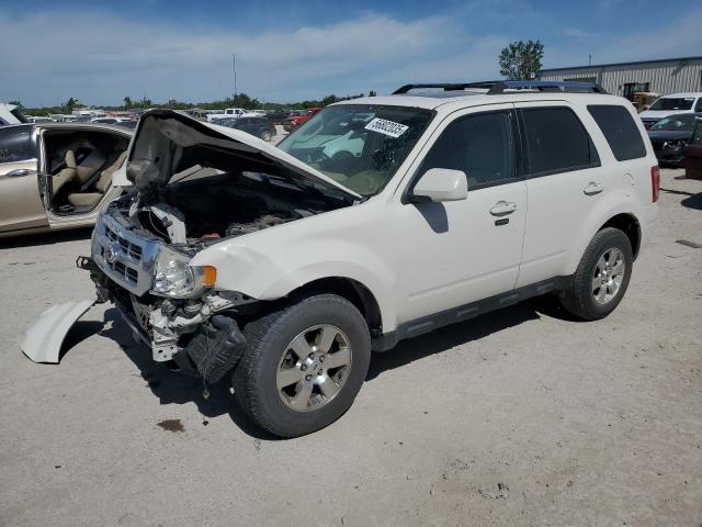 Vin: 1fmcu0e79bkb83408, lot: 56802035, ford escape limited 2011 img_1