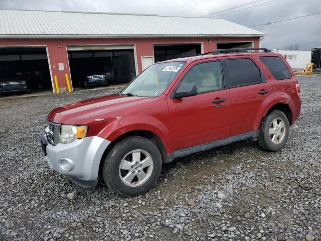 FORD ESCAPE XLT