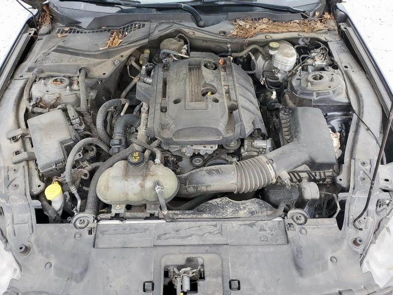 2019 FORD MUSTANG - 1FA6P8TH6K5134061