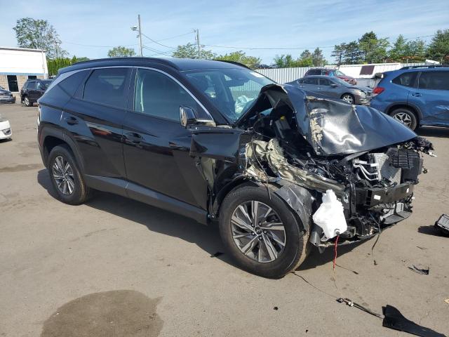 2024 HYUNDAI TUCSON BLU KM8JBCD19RU191454