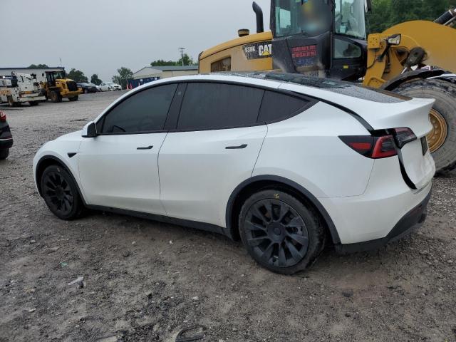 Vin: 5yjygdee1mf078871, lot: 61840215, tesla model y 20212