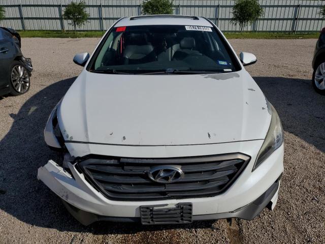 2017 HYUNDAI SONATA SPO - 5NPE34AF6HH440228