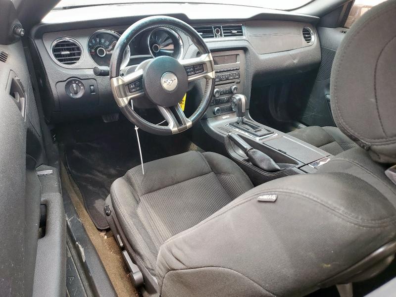 2013 FORD MUSTANG - 1ZVBP8AM1D5279002