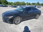 Top Destinations for Shipping Cars from the USA