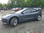 2023 TESLA MODEL 3 - 5YJ3E1EA1PF677883