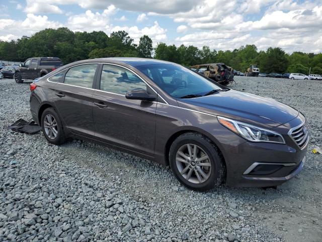 Vin: 5npe24af0gh288724, lot: 56555535, hyundai sonata se 20164