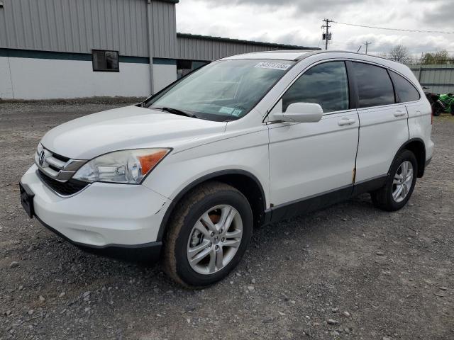 HONDA CR-V EXL 2011 white  gas 5J6RE4H72BL020862 photo #1