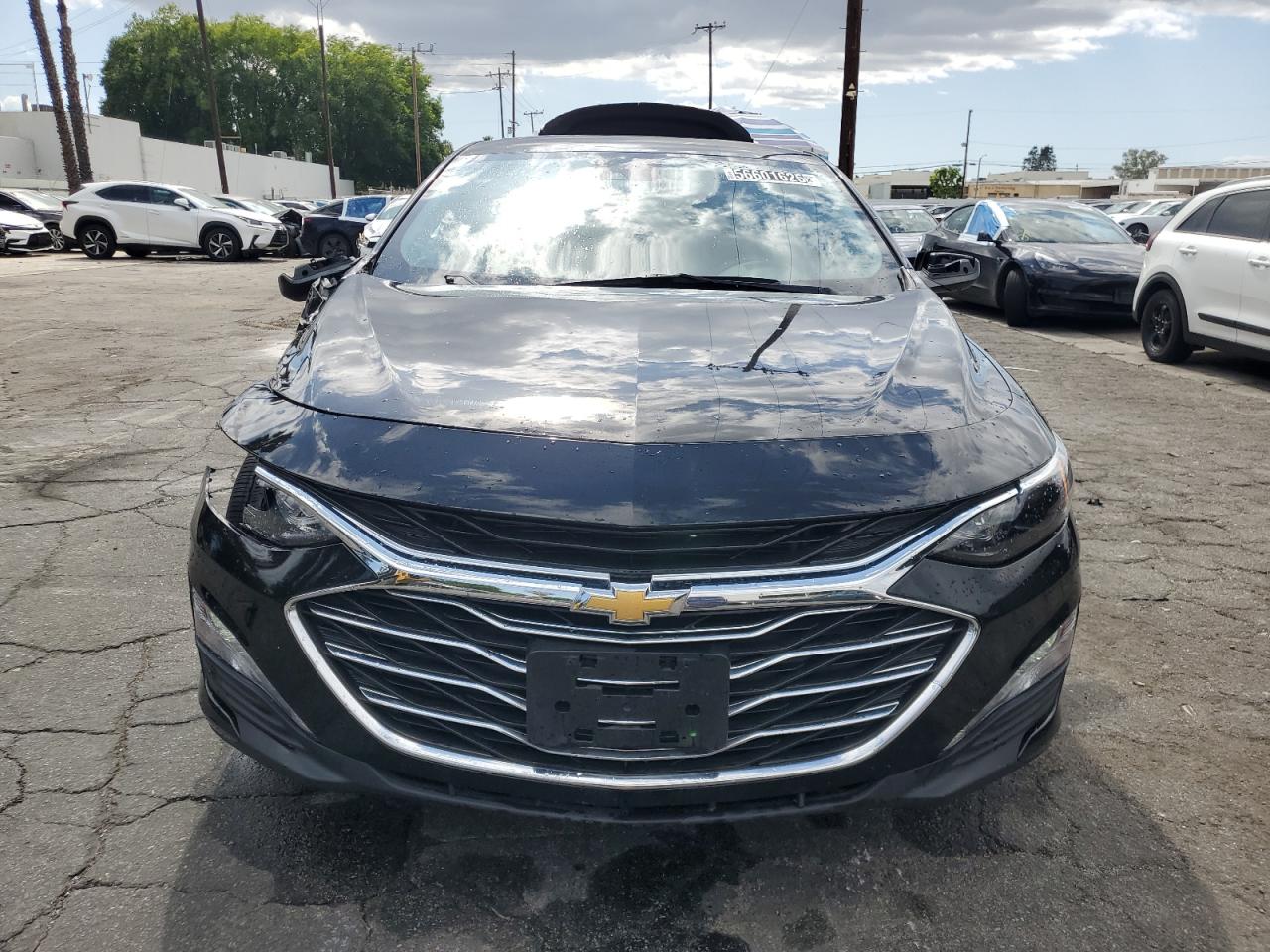 CHEVROLET MALIBU 2023