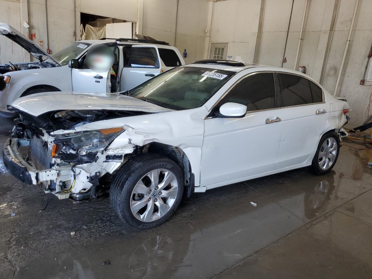 HONDA ACCORD EXL