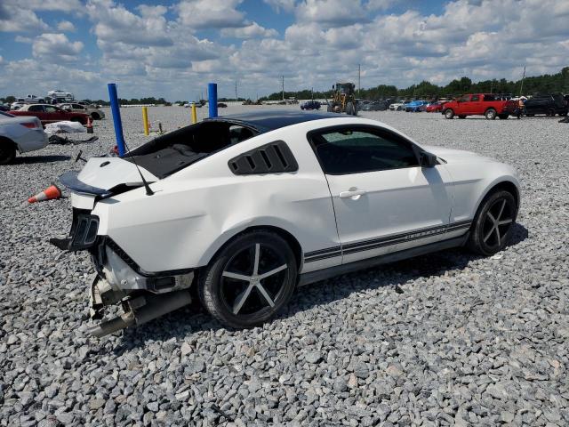 2010 FORD MUSTANG - 1ZVBP8AN8A5118621
