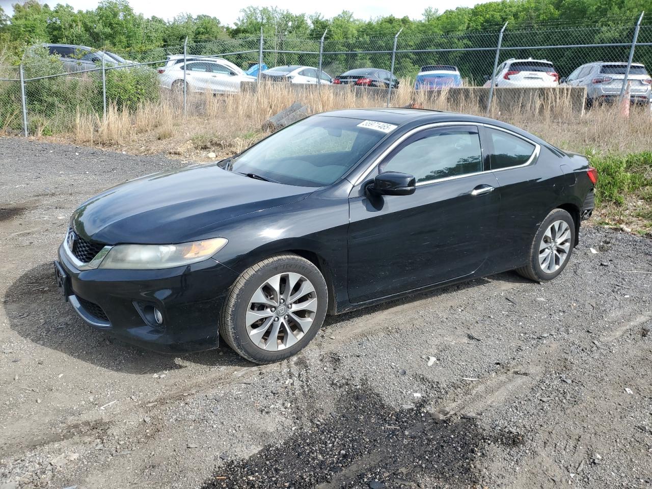 HONDA ACCORD EX