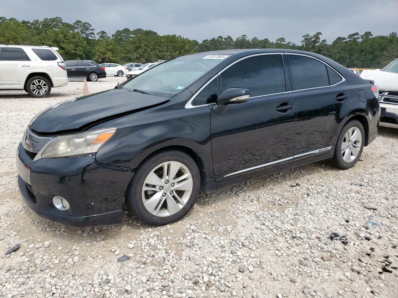 LEXUS HS 250H